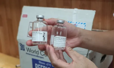 Nhập thuốc giải độc gần 200 triệu đồng/lọ để cứu bệnh nhân ngộ độc pate Minh Chay